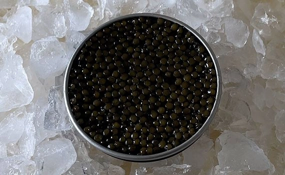 A tin of caviar on ice