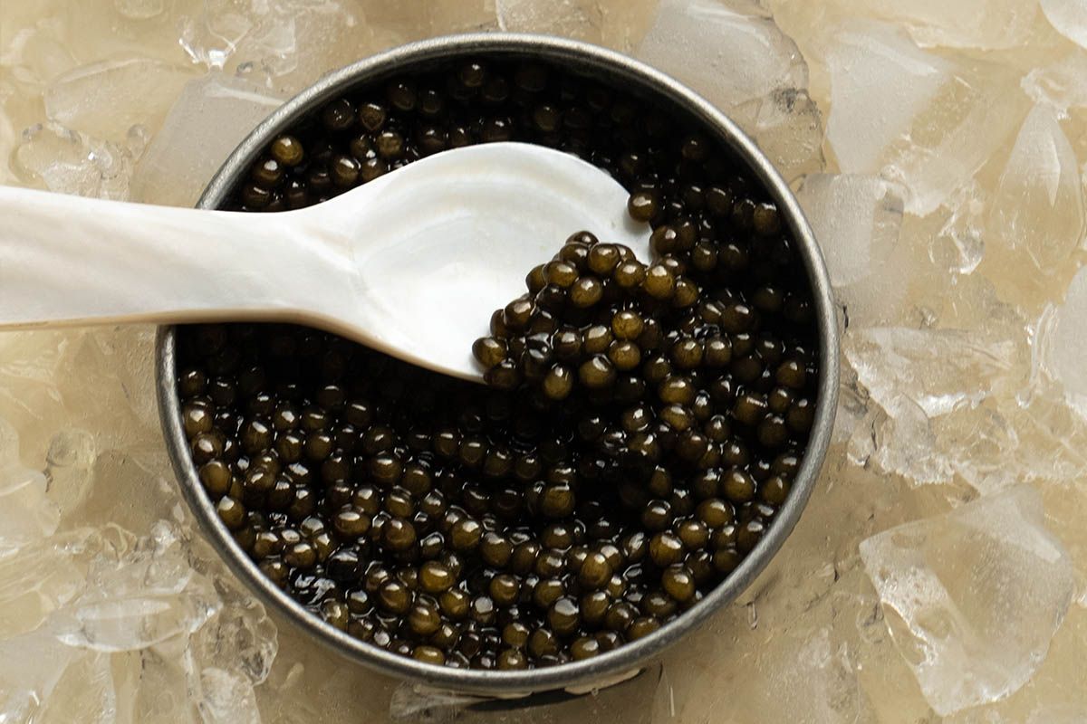 Caviar and potato chips